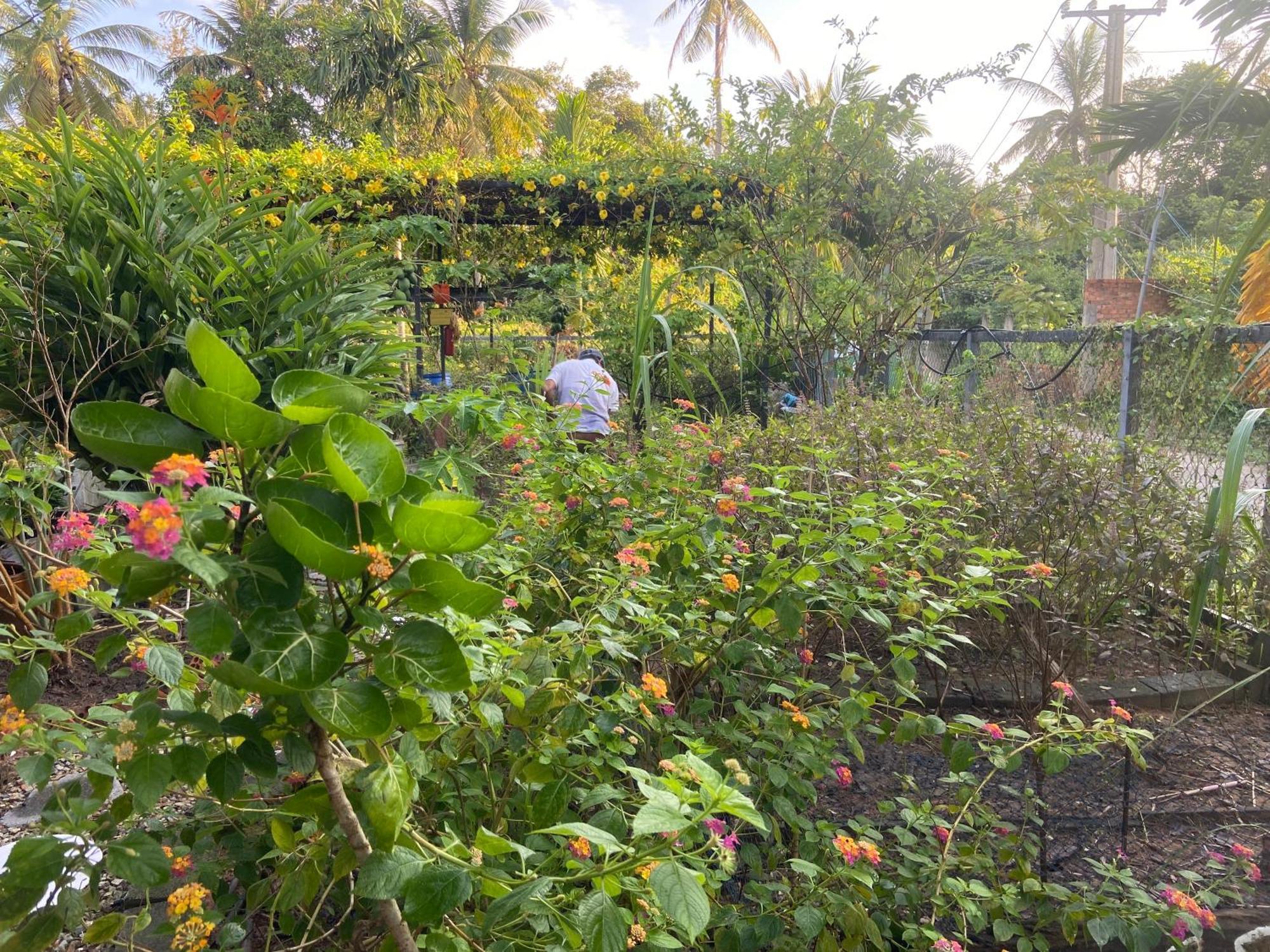 Lana Land Homestay Phú Quốc Exterior foto