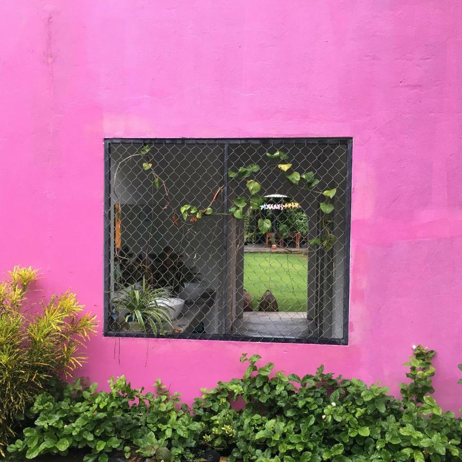 Lana Land Homestay Phú Quốc Exterior foto