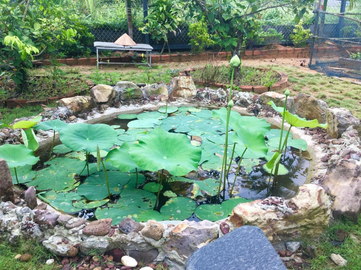 Lana Land Homestay Phú Quốc Exterior foto